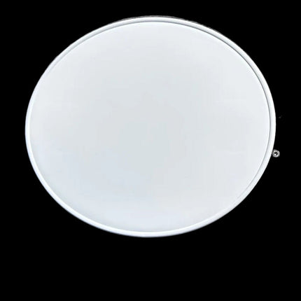 Plaque numéro frontale DC Plastic ovale blanche - Spéciale Plaque avant support moulé